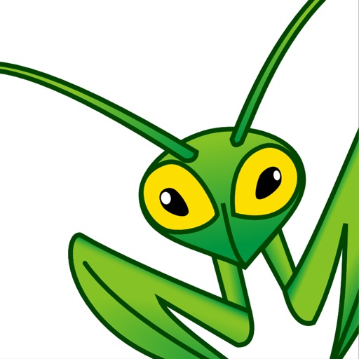 Mantis Bug Tracker (more than 4 years experience)